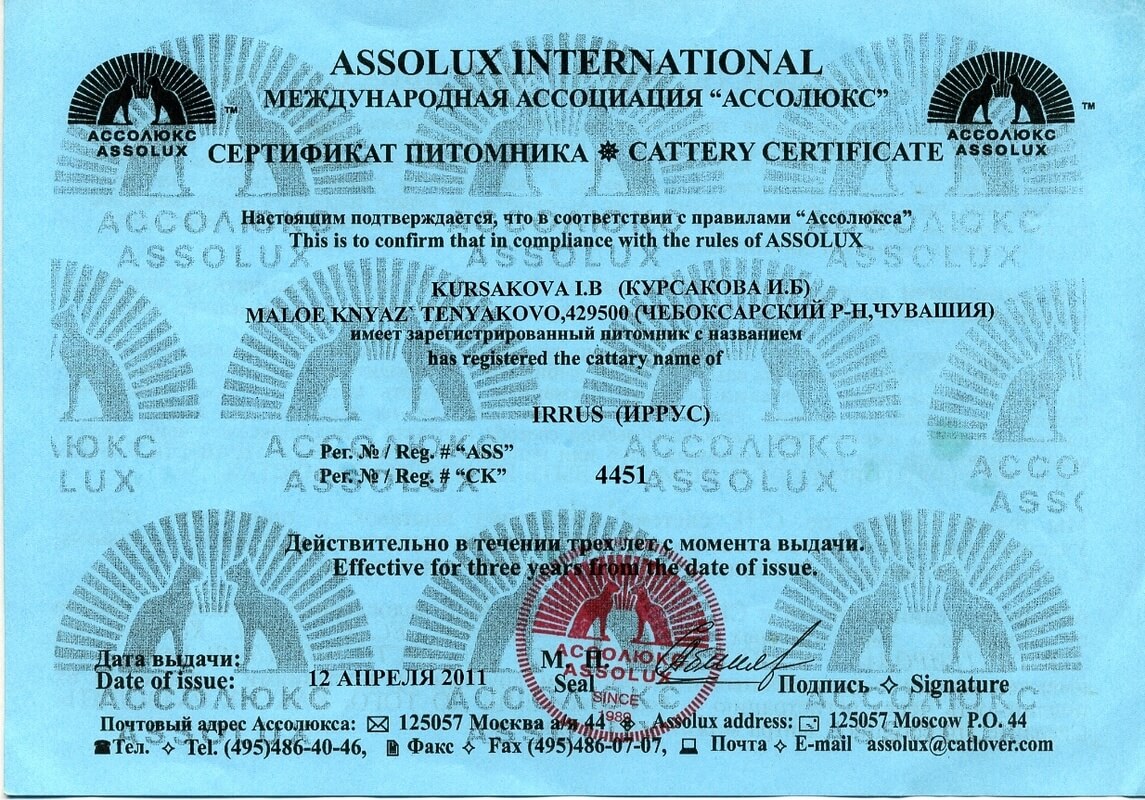 Сертификат регистрации питомника ИРРУС в Международной ассоциации кошек Ассолюкс, 2011 год